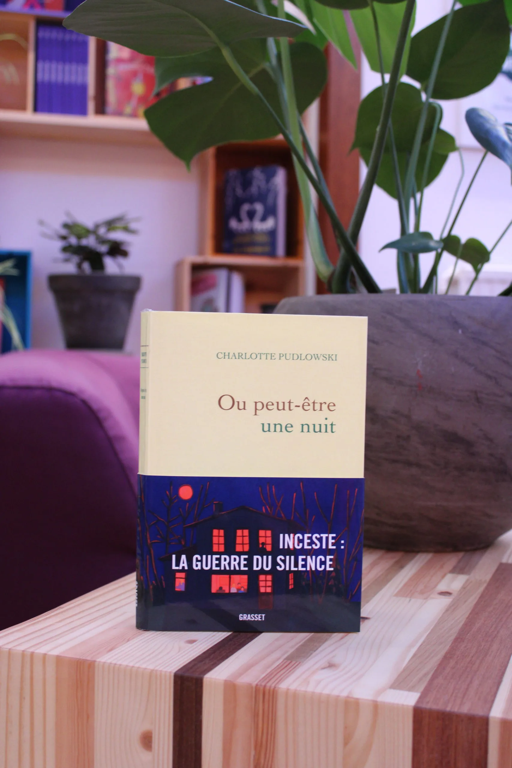 Ou peut-être une nuit